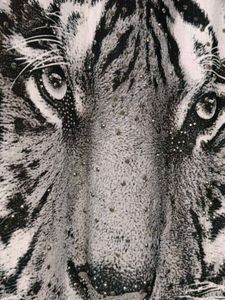 3D Tiger Print Top