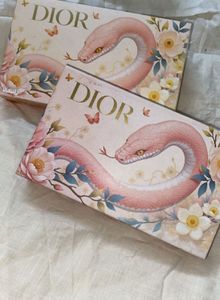 Dior Snake Gift Box &amp; Bag