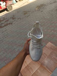 Addidas White Sneakers