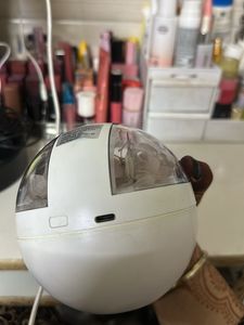 Floral Diffuser with Dried Flowers