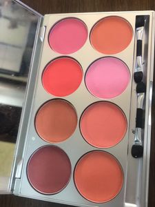 Kryolan Professional Makeup Blush And Lip Palette