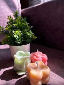 Tulip Candles &amp; Cube Candle