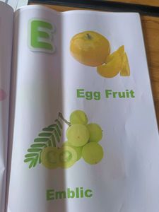 A to Z Fruit Pictionary Book