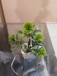 Set Of 10 Mini Artificial Plants.