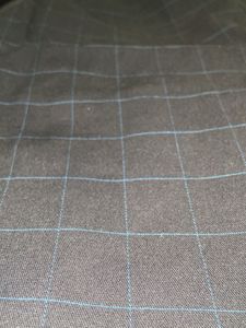Allen Solly Checkered Pants