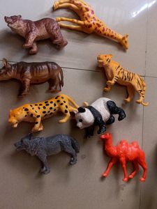 Animals