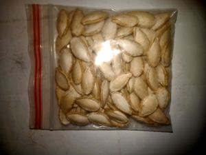 Pumpink Seed Pak100 Seed