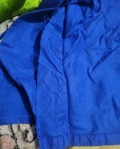 Elegant Saree with Blouse