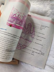 HISTOLOGY TEXTBOOK