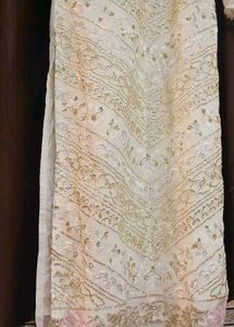 Elegant Pakistani Sequin Work Suit