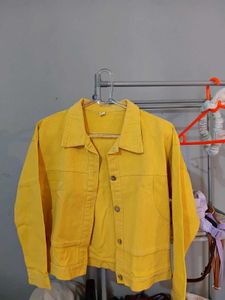 Korean Yellow Jacket 💛
