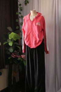 Levi&#39;s Coral Hoodie