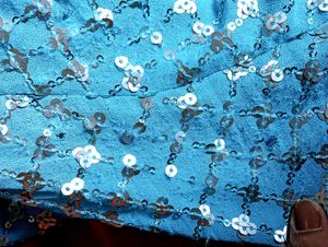 Backless Design Saree