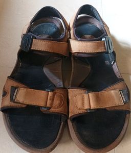 Woodland Brown Men's Sandals