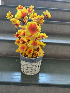 Floral Arrangement in Woven Basket