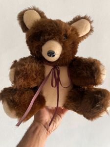 New Teddy Bear 🧸