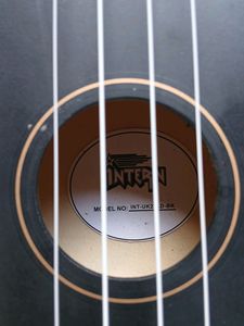 Intern Black Ukulele Tell Your Price And Take It