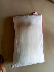 Desire Pillow Cushion Bolster