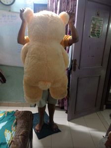 Teddy Bear For Sale