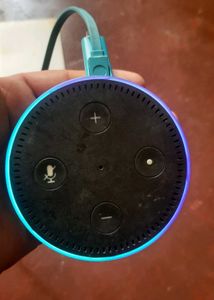 Amazon Alexa In Good Working Condition