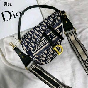 Dior Saddle