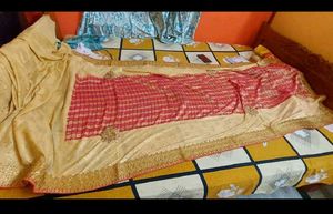 Designer Newly Bride Saree