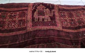Patola Hand Work Saree