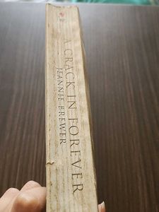 A Crack In Forever (Jeannie Brewer)