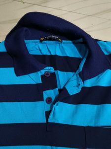Striped Polo Shirt