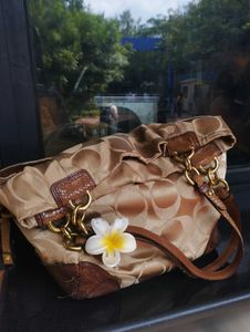 Coach Handbag *READ DESCRIPTION
