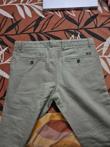 Basics : Tapered Fit