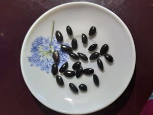 Wild Custard Apple/Athakka Seeds
