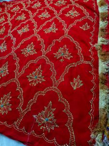 Aari Tari Zari Red ♥️ Saree ✨