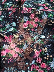 Beautiful Lace/Net Floral Dress