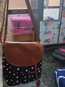 Black  Polka Dot Crossbody Bag