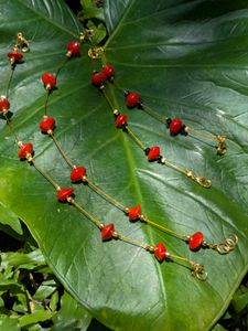 Manjadi seed Anklets