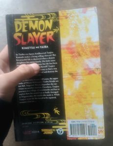 Demon Slayer Vol. 12 Manga