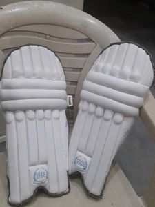 Cricket Batting Leg Guards