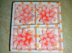 Floral Scented Diya Candles