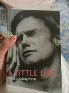 A little life (Novel)