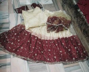 Beautiful Embroidery Designer Lahanga Blause