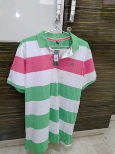 Striped Polo Shirt