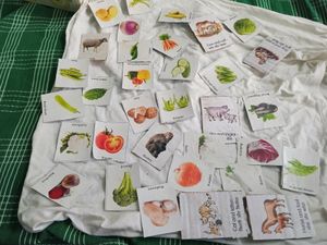 Flash Cards