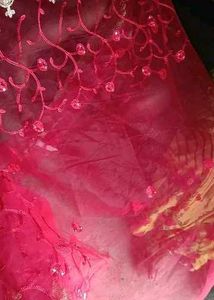 Red Net Saree For Weddings And Parties