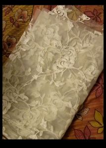 Net Embroidered Dupatta