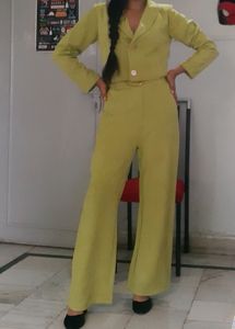 Elegant Formal/festive Co-ord Set