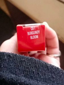 Lakme Forever Matte Lipstick