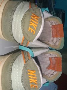 Nike Dunk Low Sneakers