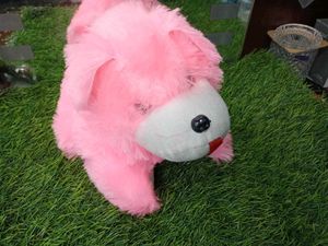 Tommy Soft Toys 🐕🤗