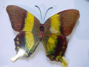 Double Layer Butterfly 🦋 decor Now Free Delivery